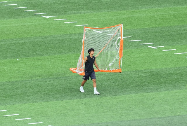调整和执行